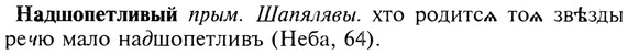 img/19/19-014_0099_Надшопетливый.jpg