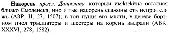 img/19/19-101_0590_Накорень.jpg
