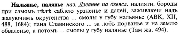img/19/19-127_0723_Нальянье.jpg