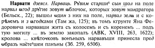 img/19/19-251_1275_Нарвати.jpg