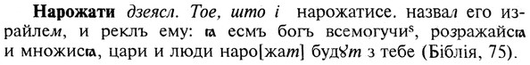 img/19/19-263_1328_Нарожати.jpg