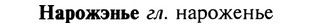 img/19/19-265_1342_Нарожэнье.jpg