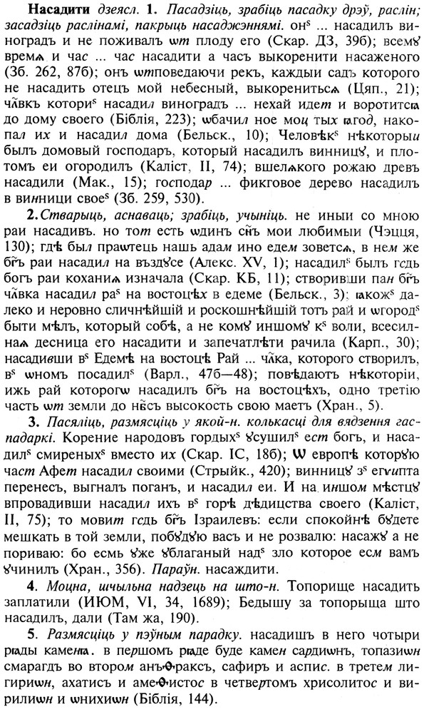 img/19/19-276_1407_Насадити.jpg