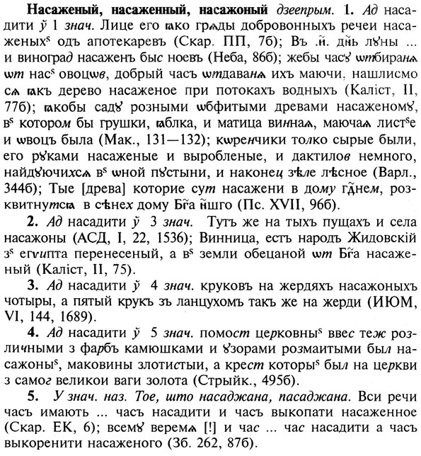 img/19/19-278_1420_Насаженый.jpg