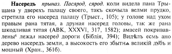 img/19/19-284_1450_Насередъ.jpg