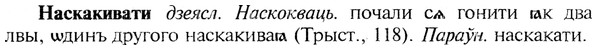img/19/19-288_1474_Наскакивати.jpg