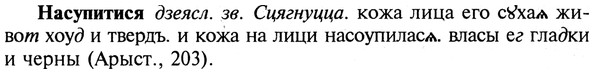 img/19/19-323_1655_Насупитися.jpg