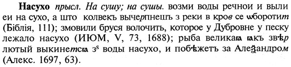 img/19/19-323_1656_Насухо.jpg