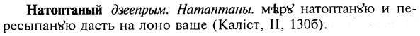 img/19/19-333_1724_Натоптаный.jpg
