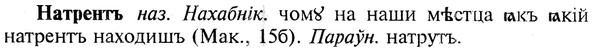 img/19/19-334_1733_Натрентъ.jpg