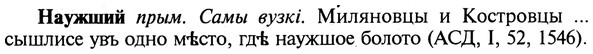 img/19/19-339_1767_Наужший.jpg