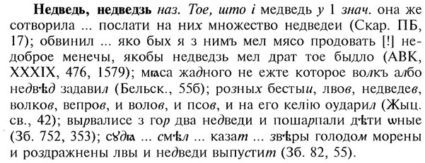 img/20/20-065_0339_Недведь.jpg