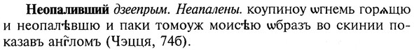img/20/20-180_1166_Неопаливший.jpg