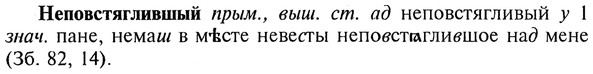 img/20/20-205_1323_Неповстяглившый.jpg