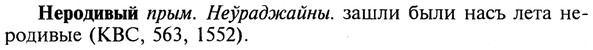 img/20/20-285_1765_Неродивый.jpg