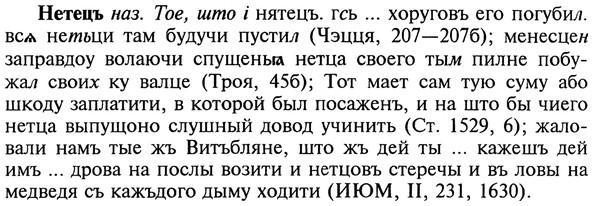 img/20/20-333_2081_Нетецъ.jpg