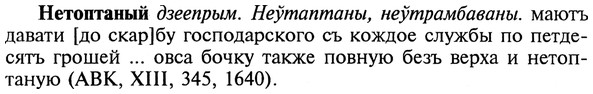 img/20/20-334_2088_Нетоптаный.jpg
