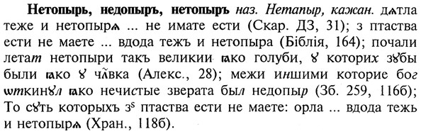 img/20/20-334_2089_Нетопырь.jpg