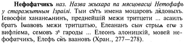 img/20/20-361_2255_Нефофатчикъ.jpg
