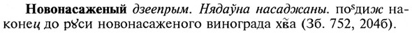 img/21/21-028_0157_Новонасаженый.jpg
