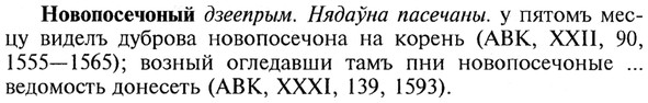 img/21/21-031_0181_Новопосечоный.jpg