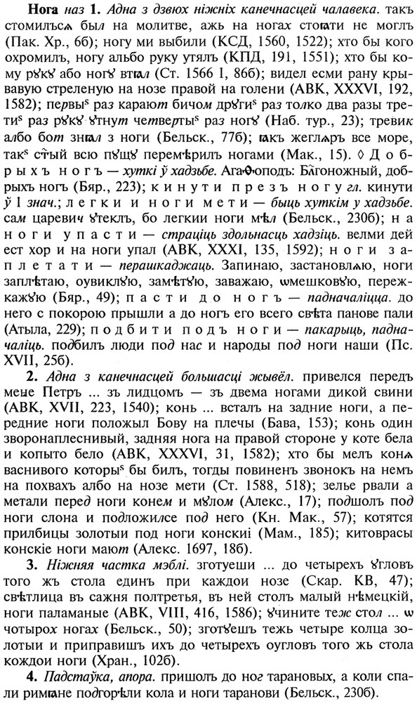 img/21/21-039_0238_Нога.jpg