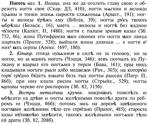 img/21/21-041_0243_Ноготь.jpg