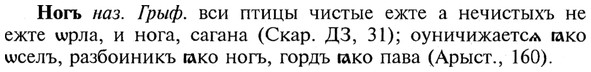 img/21/21-041_0245_Ногъ.jpg