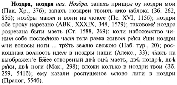 img/21/21-044_0267_Ноздра.jpg