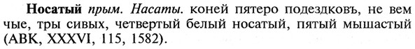 img/21/21-047_0293_Носатый.jpg