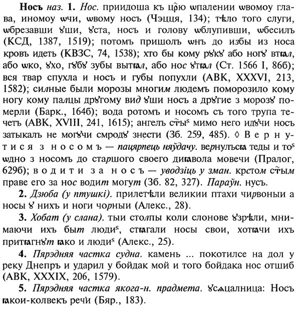 img/21/21-051_0304_Носъ.jpg