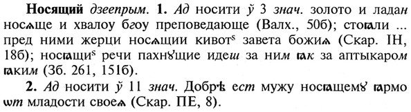 img/21/21-053_0306_Носящий.jpg