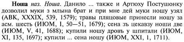 img/21/21-057_0333_Ноша.jpg