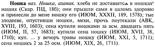 img/21/21-059_0342_Ношка.jpg