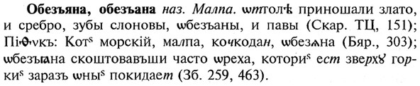 img/21/21-123_0660_Обезъяна.jpg