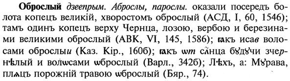 img/21/21-272_1476_Оброслый.jpg