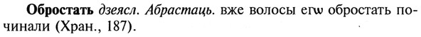 img/21/21-272_1477_Обростать.jpg