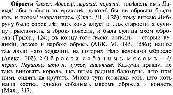img/21/21-272_1478_Обрости.jpg