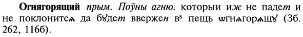 img/21/21-360_2045_Огнягорящий.jpg
