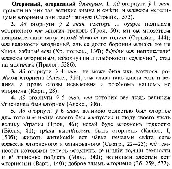 img/21/21-365_2076_Огорненый.jpg