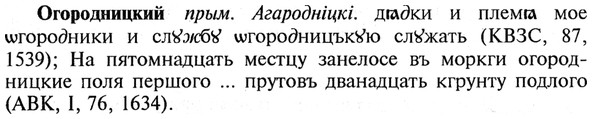 img/21/21-369_2090_Огородницкий.jpg