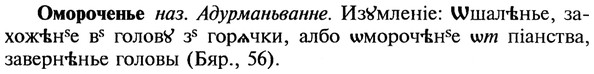 img/22/22-208_1306_Омороченье.jpg