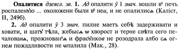 img/22/22-223_1406_Опалитися.jpg