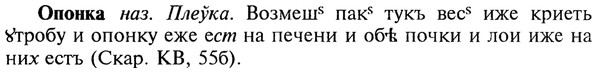 img/22/22-269_1651_Опонка.jpg