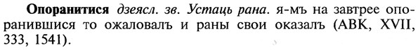 img/22/22-270_1659_Опоранитися.jpg