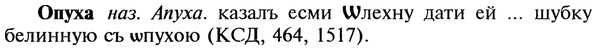 img/22/22-298_1812_Опуха.jpg