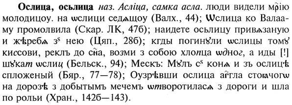 img/22/22-387_2294_Ослица.jpg
