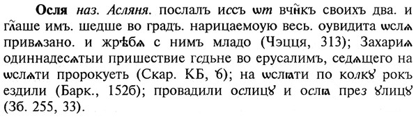 img/22/22-389_2313_Осля.jpg