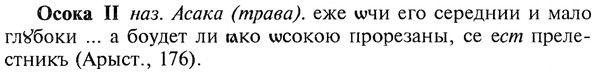 img/22/22-409_2436_Осока.jpg