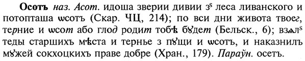 img/22/22-411_2449_Осотъ.jpg
